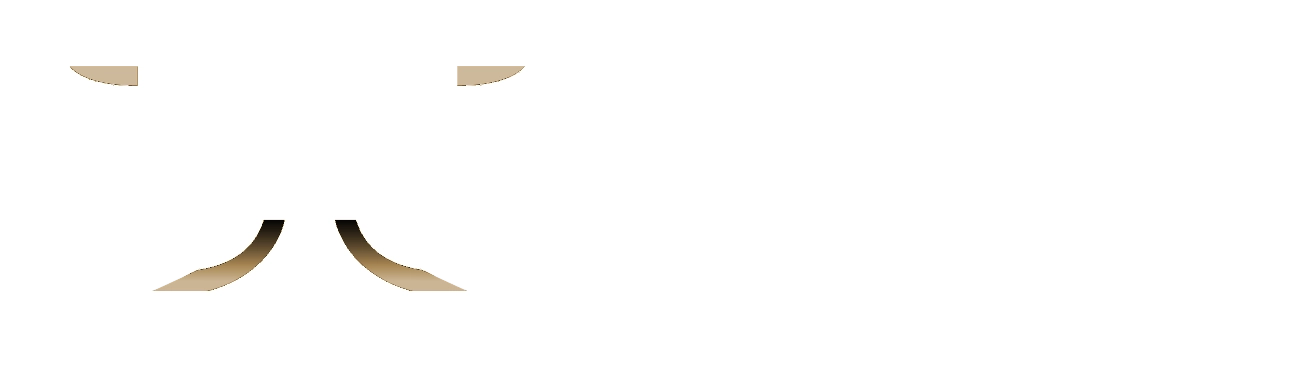 TheoryForge